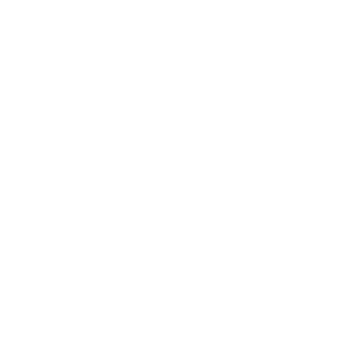Zyn